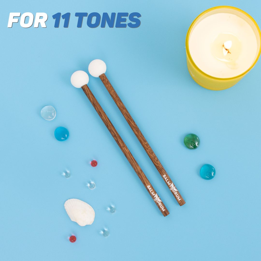 Extra Drum Sticks
